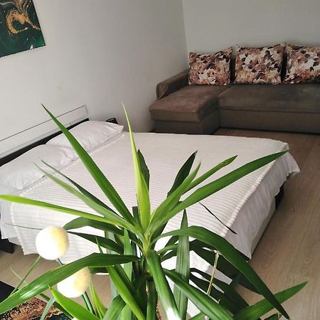 Apartamento Rebecca Tîrgu Ocna Exterior foto