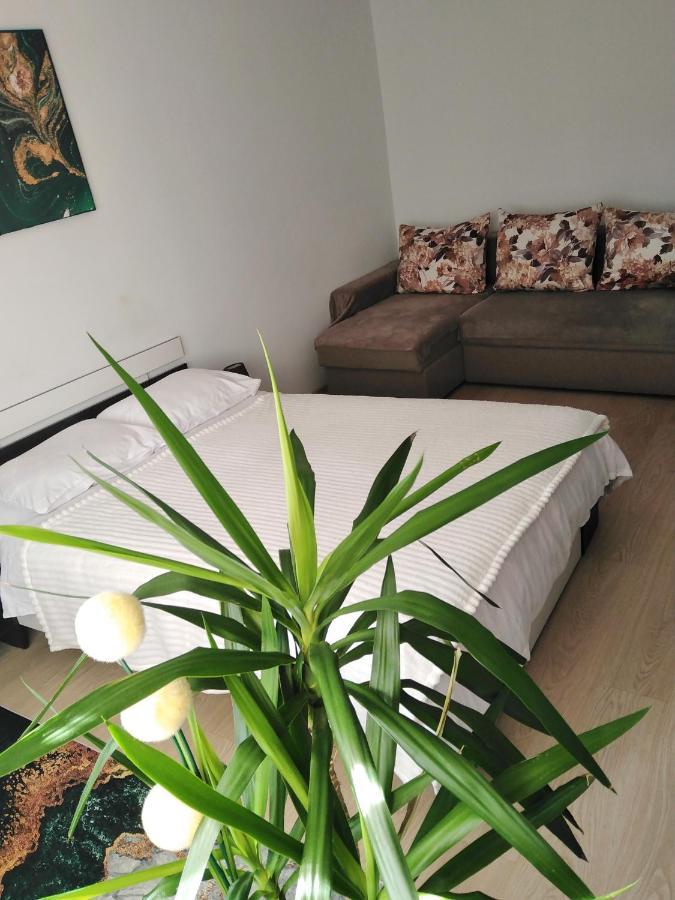 Apartamento Rebecca Tîrgu Ocna Exterior foto